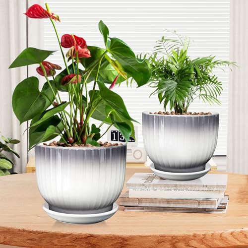 Ceramic Pots for Plants, 5.5+6.7 Pots for Indoor Plants with Drainage and Separable Saucer, Indoor Plant Pots, Gray White Ceramic Planter, Flower Pots Set of 2 （Gray + White, Plants NOT Included）