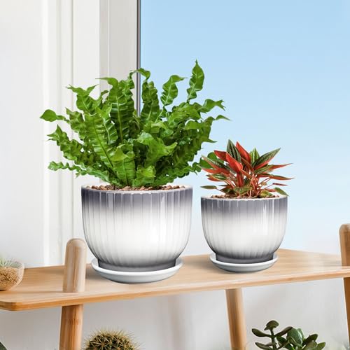 Ceramic Pots for Plants, 5.5+6.7 Pots for Indoor Plants with Drainage and Separable Saucer, Indoor Plant Pots, Gray White Ceramic Planter, Flower Pots Set of 2 （Gray + White, Plants NOT Included）