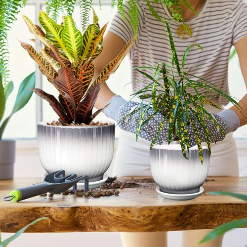 Ceramic Pots for Plants, 5.5+6.7 Pots for Indoor Plants with Drainage and Separable Saucer, Indoor Plant Pots, Gray White Ceramic Planter, Flower Pots Set of 2 （Gray + White, Plants NOT Included）