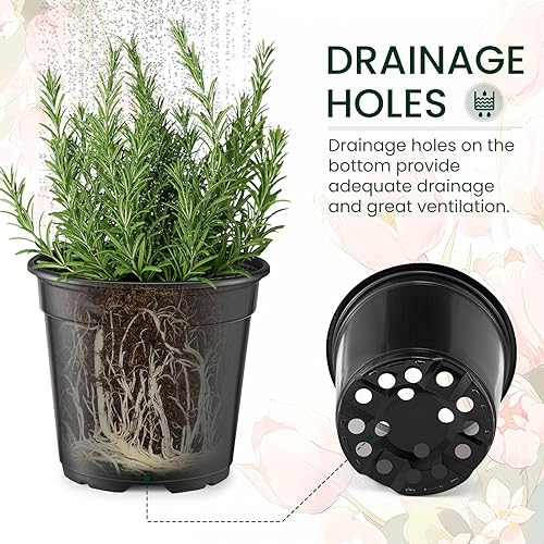 GROWNEER Nursery Pots with Drainage Holes Pack of 48 Pots 3.5/4.5/5.5/6.5 Inch and Plant Label Flexible Seedling Pots Seed Starting Planter for Indoor Outdoor Flowers, Succulents, Cactus