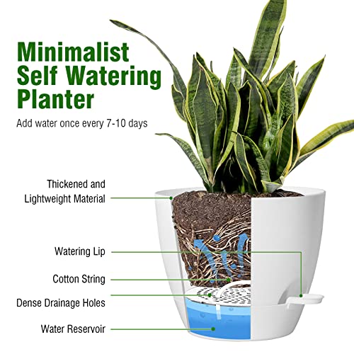 10 inch Self Watering Pots, 2 Pack Plastic Planters with Mesh Drainage Holes for Garden Plants and Flower, Plants Pots with Deep Reservoir for Indoor Outdoor Plants, White
