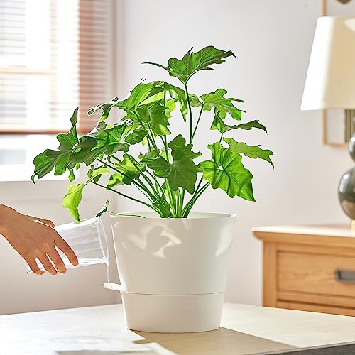 FaithLand 2-Pack 10 Inch Planter Pots for Indoor Outdoor Plants, Self Watering Flower Pots with Deep Reservoir, White …