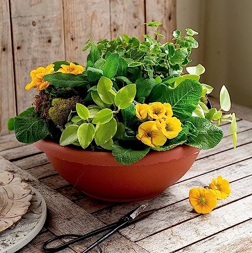 The HC Companies 15.5 Inch Garden Bowl Planter - Shallow Plant Pot with Drainage Plug for Indoor Outdoor Flowers, Herbs, Black