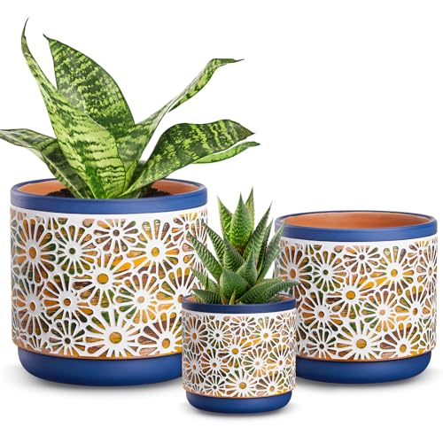 Qipecedm 3 Piece Ceramic Plant Pots, 5.7/4.7/3.5/inch Planters with Drainage Hole, Outdoor Indoor Flower Pots Set, Modern Decorative Plant Pots for Lilies, Cacti, Succulents, Snakes, Bamboo(Blue)