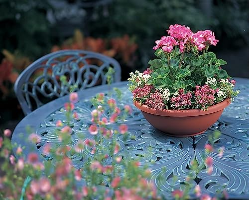 The HC Companies 15.5 Inch Garden Bowl Planter - Shallow Plant Pot with Drainage Plug for Indoor Outdoor Flowers, Herbs, Black