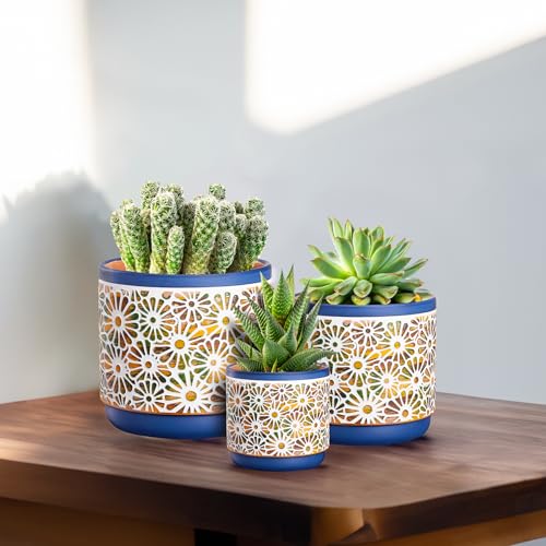Qipecedm 3 Piece Ceramic Plant Pots, 5.7/4.7/3.5/inch Planters with Drainage Hole, Outdoor Indoor Flower Pots Set, Modern Decorative Plant Pots for Lilies, Cacti, Succulents, Snakes, Bamboo(Blue)