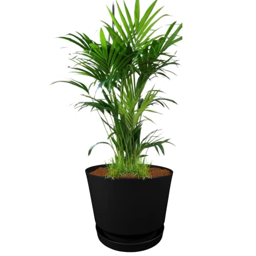 Elly Décor 12 inch Plastic Cylinder Planter Pot with Self-Watering Saucer and Drainage Hole,Lightweight & Extremely Durable, 12"x 12", Black