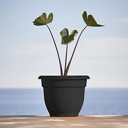Bloem Ariana Pot Planter: 16" - Black - Durable Resin Pot, for Indoor and Outdoor Use, Gardening, Self Watering Disk Included, 6 Gallon Capacity