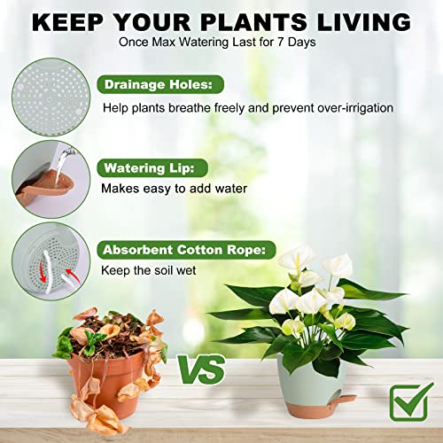 Vanslogreen Plant Pots Indoor 7/6.5/6/5.5/5 Inch Self Watering Planters for Indoor Plants with Drainage Hole, Plastic Flower Pots for Succulents, African Violet (Green)