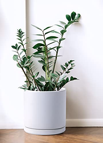 D'vine Dev 8 Inch Ceramic Planter Pot with Drainage Hole and Saucer, Indoor Cylinder Round Planter Pot, White, 94-O-M-1