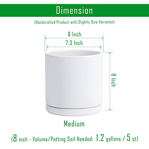 D'vine Dev 8 Inch Ceramic Planter Pot with Drainage Hole and Saucer, Indoor Cylinder Round Planter Pot, White, 94-O-M-1