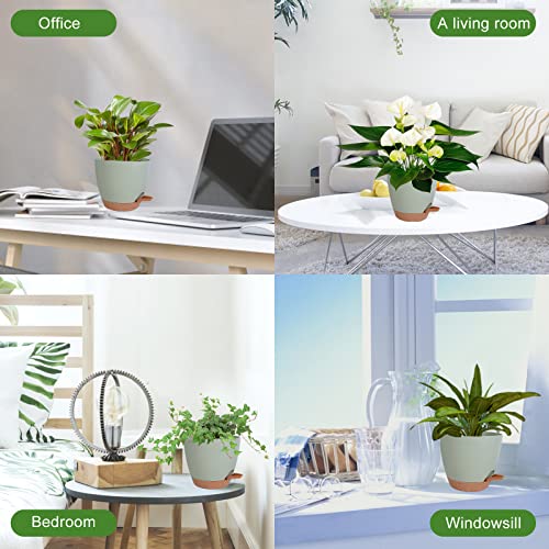 Vanslogreen Plant Pots Indoor 7/6.5/6/5.5/5 Inch Self Watering Planters for Indoor Plants with Drainage Hole, Plastic Flower Pots for Succulents, African Violet (Green)