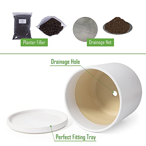 D'vine Dev 8 Inch Ceramic Planter Pot with Drainage Hole and Saucer, Indoor Cylinder Round Planter Pot, White, 94-O-M-1