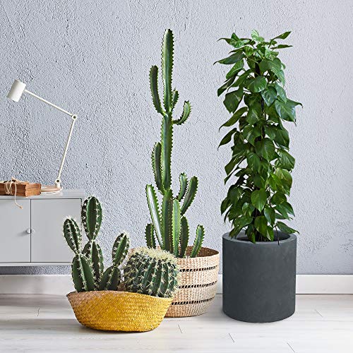 Kante 9.8" Dia Round Concrete Planter, Modern Style Large Cylindrical Plant Pot with Drainage Hole and Rubber Plug for Indoor Outdoor Patio, Charcoal