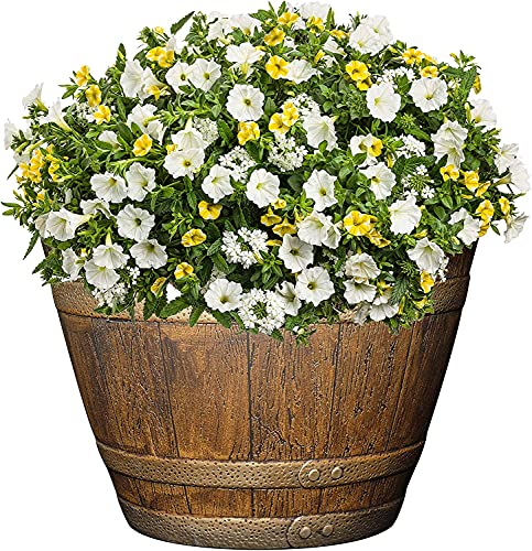 Classic Home and Garden Whiskey Plastic Resin Flower Pot Barrel Planter, Oak Brown, 15"