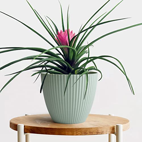 Giraffe Creation 6 inch Plant Pots, 5 Pack Flower Pots Outdoor Indoor, Planters with Drainage Hole and Tray Saucer
