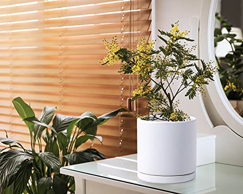 D'vine Dev 8 Inch Ceramic Planter Pot with Drainage Hole and Saucer, Indoor Cylinder Round Planter Pot, White, 94-O-M-1