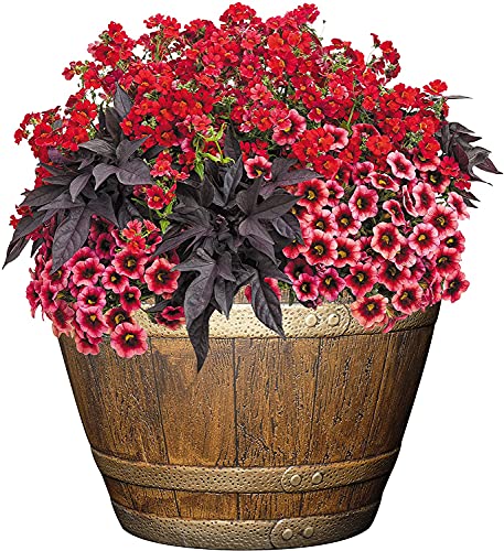 Classic Home and Garden Whiskey Plastic Resin Flower Pot Barrel Planter, Oak Brown, 15"
