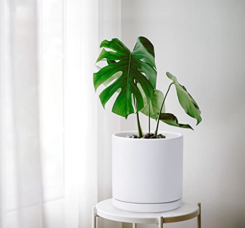 D'vine Dev 8 Inch Ceramic Planter Pot with Drainage Hole and Saucer, Indoor Cylinder Round Planter Pot, White, 94-O-M-1