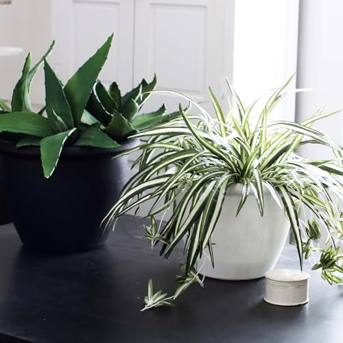 The HC Companies 16 Inch Sevilla Round Self Watering Planter - Decorative Lightweight Plastic Plant Pot for Indoor Outdoor Plants Flowers Herbs, White