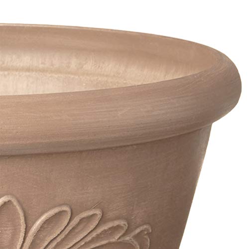 Arcadia Garden Products PSW Pot TA25TP Collection Shallow Bulb Pan Planter Dish Low Bowl for Succulents, Bonsai, Fairy Gardens, Herbs, 10-inch, Taupe