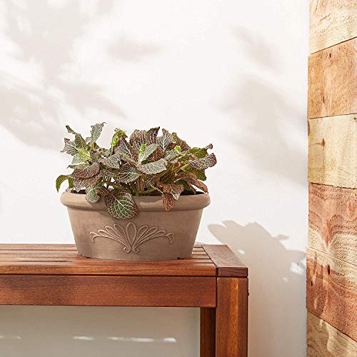 Arcadia Garden Products PSW Pot TA25TP Collection Shallow Bulb Pan Planter Dish Low Bowl for Succulents, Bonsai, Fairy Gardens, Herbs, 10-inch, Taupe