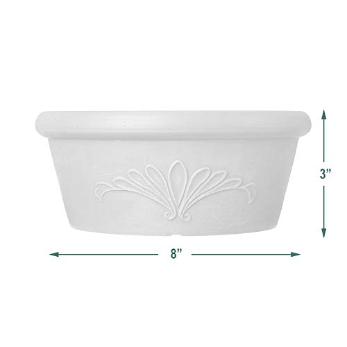 Arcadia Garden Products PSW Pot TA25TP Collection Shallow Bulb Pan Planter Dish Low Bowl for Succulents, Bonsai, Fairy Gardens, Herbs, 10-inch, Taupe