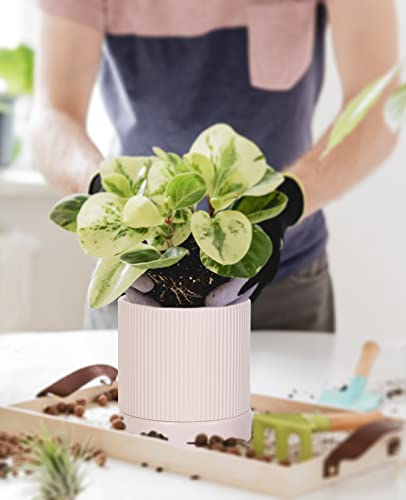 LaDoVita 3 Pack Ceramic Plant Pots 6/5/4 inch, Flowerpot for Indoor Plants with Drainage Holes and Tray, Outdoor Garden Planters, Modern Decorative for Home, Pink Vertical Stripes