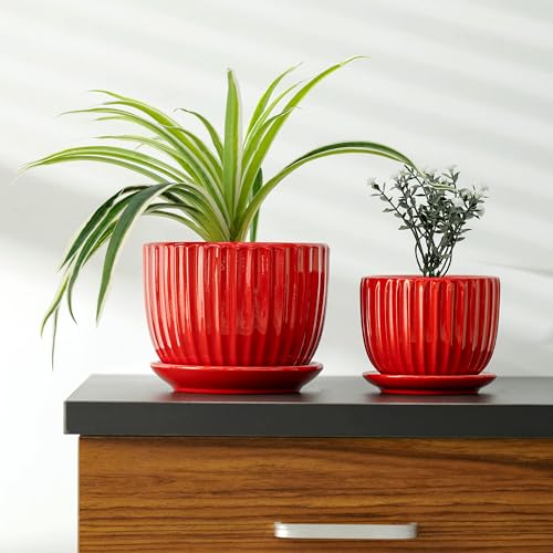 Ton Sin Ceramic Plant Pots - 4/5/6 Inch Red Planters Set of 3 with Drainage Holes and Saucer - Indoor Flower Pots for Plants Ceramic Planters for Indoor Gardening Succulent Pots