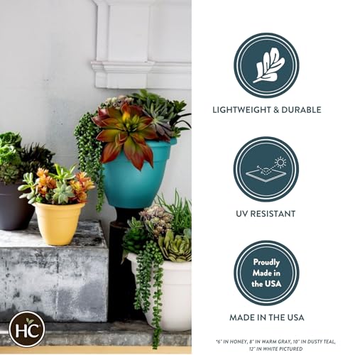 The HC Companies 10 Inch Caribbean Planter - Lightweight Indoor Outdoor Plastic Plant Pot for Herbs and Flowers, Black
