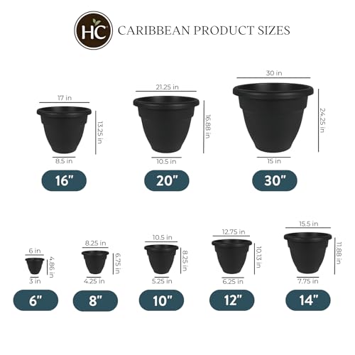 The HC Companies 10 Inch Caribbean Planter - Lightweight Indoor Outdoor Plastic Plant Pot for Herbs and Flowers, Black