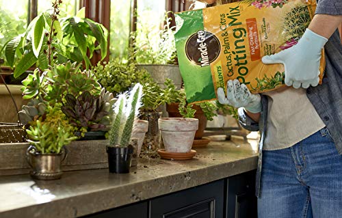 Miracle-Gro Cactus, Palm & Citrus Potting Mix and Plant Food - Bundle of Soil (8 qt.) and Liquid Plant Food (8 oz.) for Growing and Fertilizing Indoor Succulents