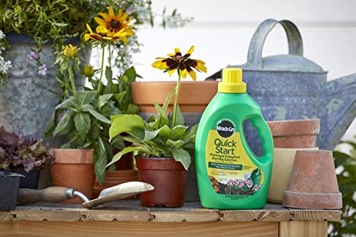 Miracle-Gro Quick Start Planting & Transplant Starting Solution 48 fl. oz