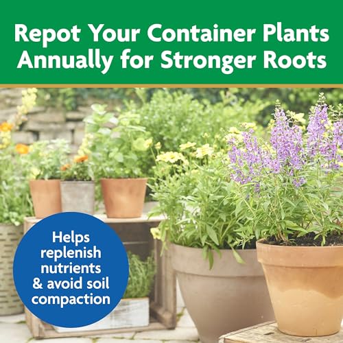 Miracle-Gro Moisture Control Potting Mix, Added Fertilizer Feeds Up to 6 Months, Soil for Container Gardening, 8 qt. (3-Pack)