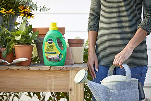 Miracle-Gro Quick Start Planting & Transplant Starting Solution 48 fl. oz
