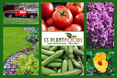 Organic Soil for Vegetable Garden Turbo Soil Bio-Blend, Superior Organic Soil Amendment (3 lbs)