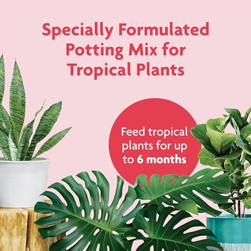 Miracle-Gro Tropical Potting Mix, Growing Media for Tropical Plants Living in Indoor and Outdoor Containers, 6 qt. (3-Pack)