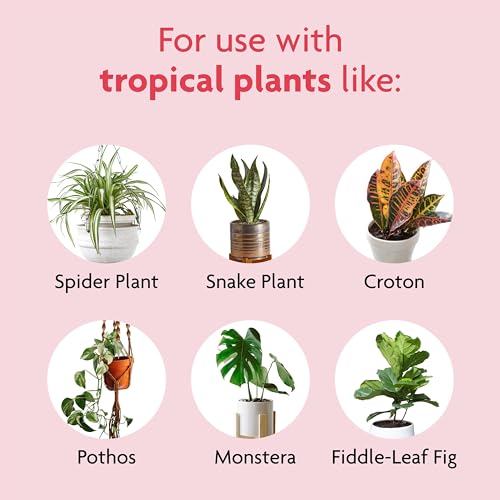 Miracle-Gro Tropical Potting Mix, Growing Media for Tropical Plants Living in Indoor and Outdoor Containers, 6 qt. (3-Pack)