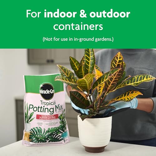 Miracle-Gro Tropical Potting Mix, Growing Media for Tropical Plants Living in Indoor and Outdoor Containers, 6 qt. (3-Pack)