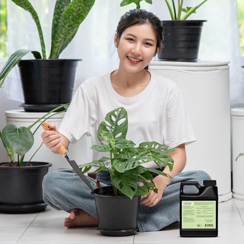Karrikaid Soil Nutrient Booster Premium Plant Nutrition Formula for Lush Gardens Promotes Growth Blooms and Soil Vitality Root Stimulator for Plants - 32 fl oz