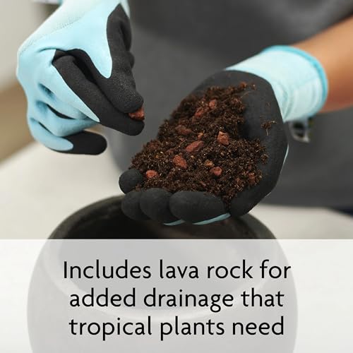 Miracle-Gro Tropical Potting Mix, Growing Media for Tropical Plants Living in Indoor and Outdoor Containers, 6 qt. (3-Pack)