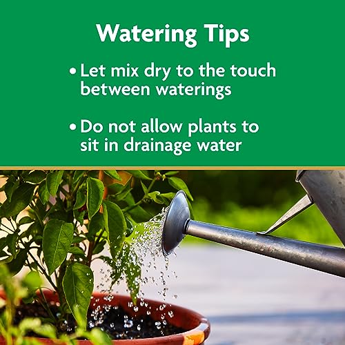 Miracle-Gro Potting Mix, Potting Soil for Indoor and Outdoor Container Plants, Enriched with Plant Food, 2 cu. ft. (2-Pack)