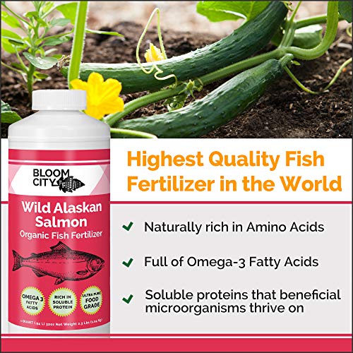 Organic Wild Fish Fertilizer and Plant Supplement, Great for Roots and Soil, Made from Sustainable Salmon, by Bloom City, 1/2 Pint (8 oz)