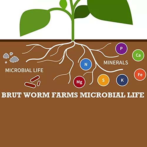 Brut Organic Worm Castings – 30 Lb – Garden's Elixir for Thriving Blooms & Harvests!
