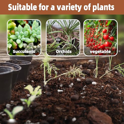 CJGQ Potting Soil Mix 3Quart, Organic Soil Mix Orchid Bark, Sphagnum Moss and Leca Clay Pebbles for Indoor Plants, Orchid Fertilizer Garden Soil for Root Development, Improve Drainage and Aeration