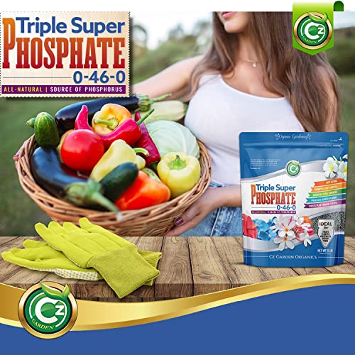 Triple Super Phosphate 0-46-0 Fertilizer Made in USA - Bloom Booster - TSP Pure Phosphorus Plant Food for Indoor/Outdoor Plants & Flower Gardens - Fruit, Vegetables, Holistic Herbs, Trees & More!