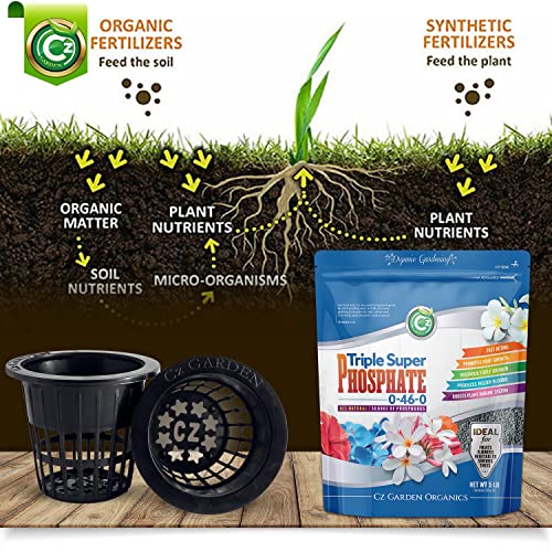 Triple Super Phosphate 0-46-0 Fertilizer Made in USA - Bloom Booster - TSP Pure Phosphorus Plant Food for Indoor/Outdoor Plants & Flower Gardens - Fruit, Vegetables, Holistic Herbs, Trees & More!