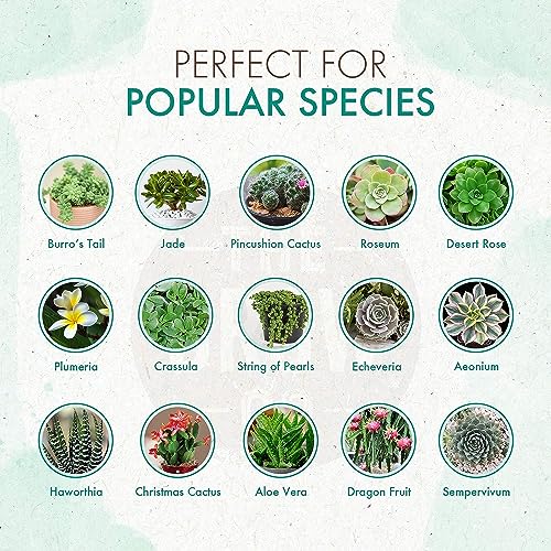 The Grow Co Succulents & Cactus Plant Food - Gentle Long Lasting Formula, Slow Release Fertilizer (Liquid Alternative) for All Potted Succulent, Cacti & Aloe Vera Plants (5 oz)
