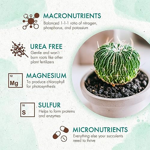 The Grow Co Succulents & Cactus Plant Food - Gentle Long Lasting Formula, Slow Release Fertilizer (Liquid Alternative) for All Potted Succulent, Cacti & Aloe Vera Plants (5 oz)
