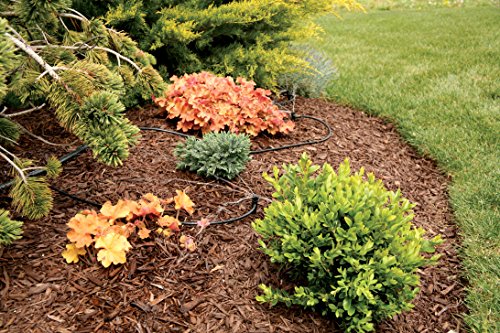 Rain Bird LNDDRIPKIT Drip Irrigation Landscape/Garden Watering Kit with Drippers, Micro-Bubblers, Micro-Sprays